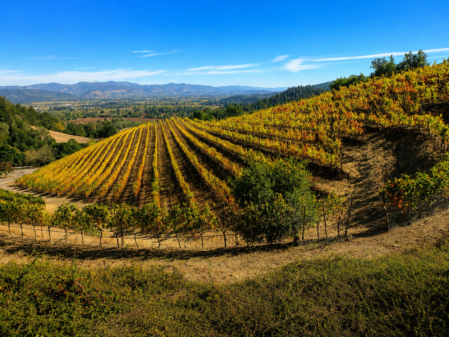 OOdJUCAKvYhKGmZHkJGaWTxlc7AsKkh50JoWVaOX.png